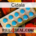 Cidala new09